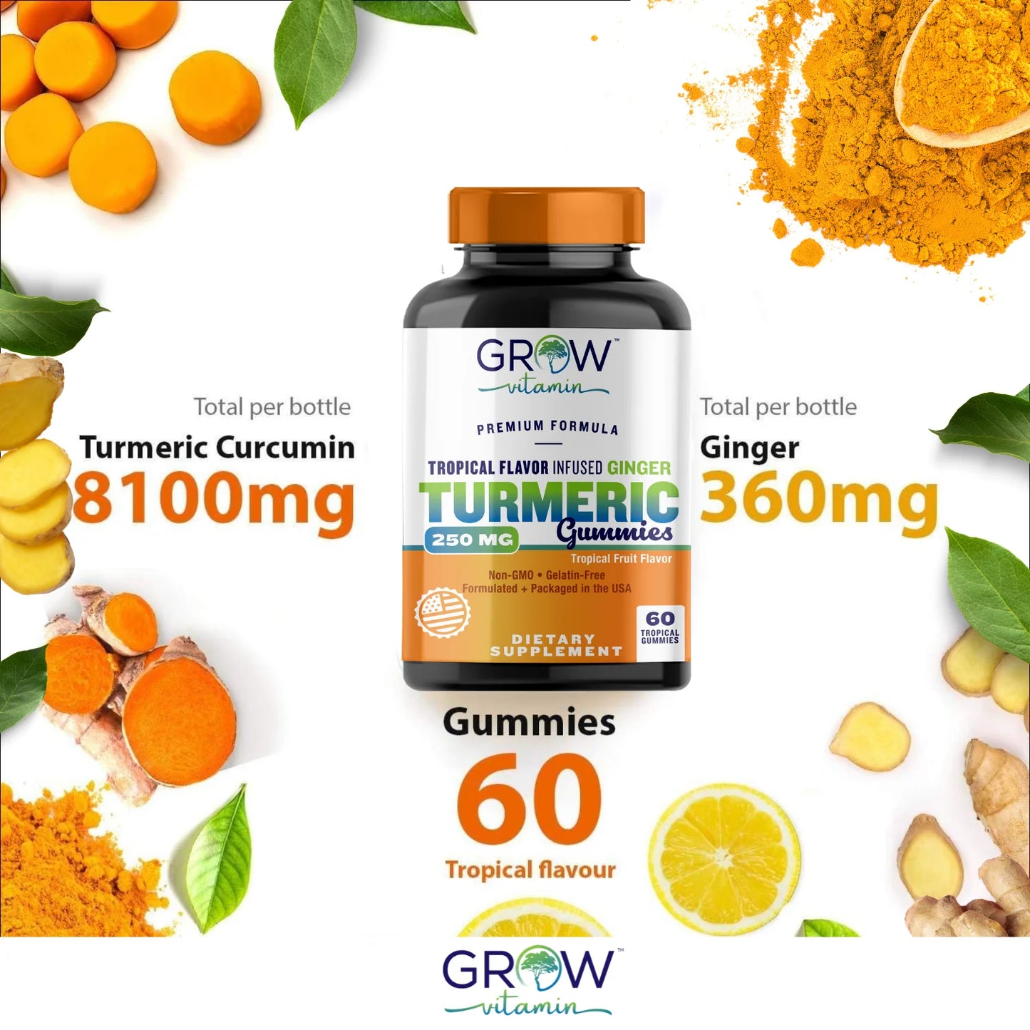 Turmeric Gummies for Adults & Kids with Ginger Extract | 95% Curcuminoids | Vegan Natural Curcumin Joint Support | 120 Turmeric Gummy Supplements (2-Pack of 60)