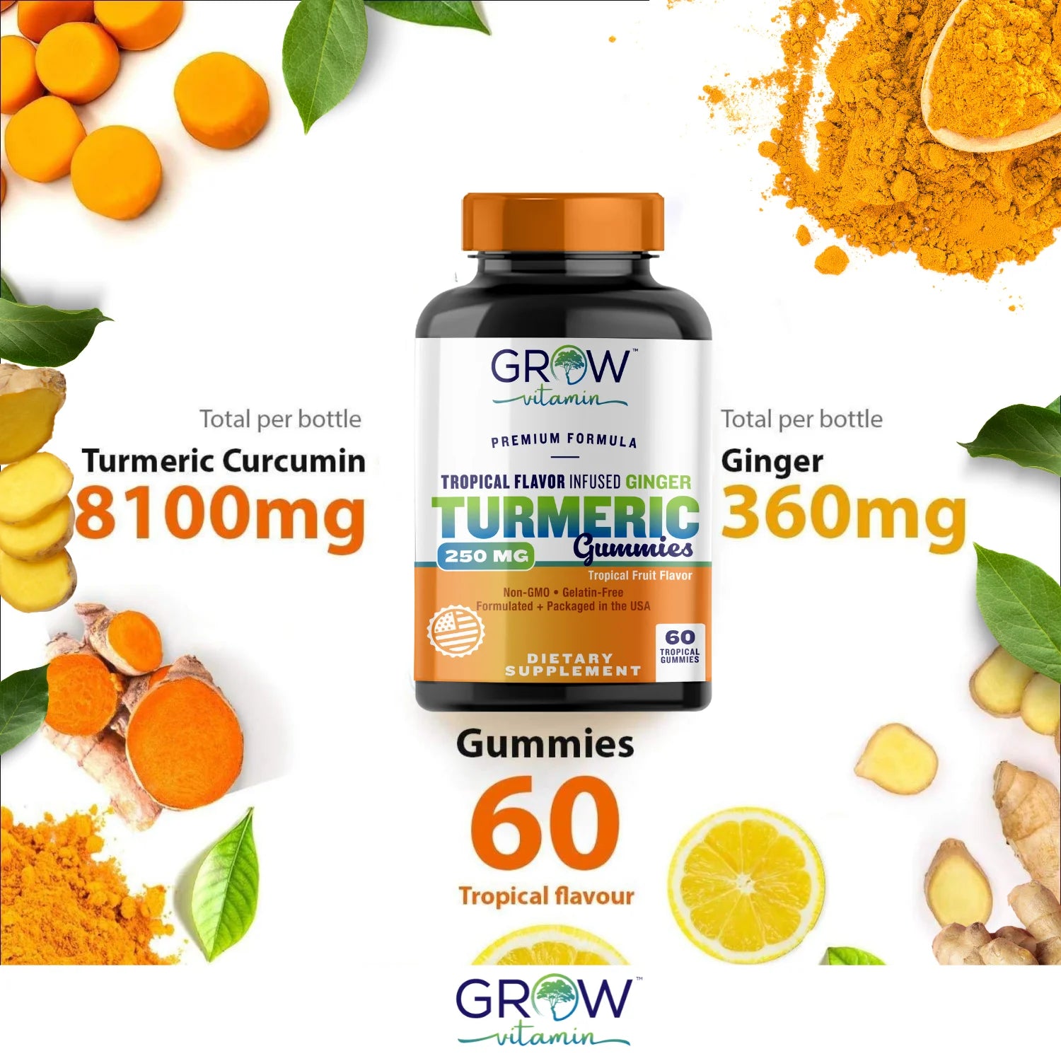 Turmeric Gummies for Adults & Kids with Ginger Extract | 95% Curcuminoids | Vegan Natural Curcumin Joint Support | 120 Turmeric Gummy Supplements (2-Pack of 60)