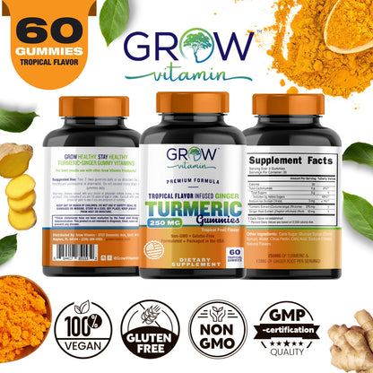 Turmeric Gummies for Adults & Kids with Ginger Extract | 95% Curcuminoids | Vegan Natural Curcumin Joint Support | 120 Turmeric Gummy Supplements (2-Pack of 60)