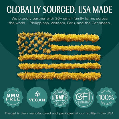 Wildcrafted Irish Sea Moss Gel Antioxidant Health Supplement, Vegan-Friendly Made in USA (Apple, 3), 48 Oz.