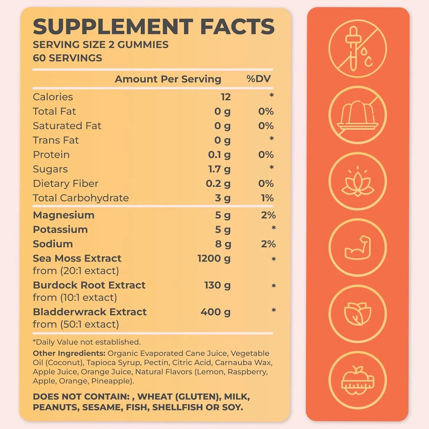 Gummies Supplement - Irish Sea Moss, Burdock Root, Thyroid & Immune Support, 2-Pack, 120-Count